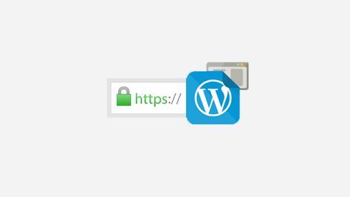 free wordpress ssl